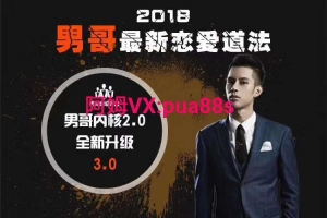 赛车手男哥《男哥内核3.0 》