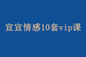 宣宣情感10套vip课