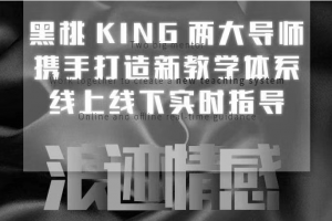 浪迹情感 绝版《黑桃k私教》