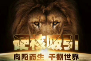 偷先生高级私教课《硬核吸引》