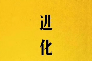 偷先生《进化》