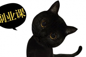 晴予：殷斯坦：简单粗暴的副业课