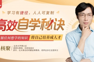 核聚《高效自学秘诀》