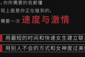 乌鸦救赎 海觉《速度与激情》