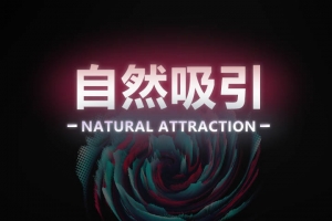瑞恩《自然吸引》10节高级课