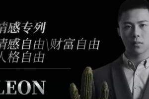 《Leon3.0》无水印版本