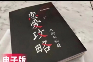 浪迹新书《恋爱攻略》无水印文字版