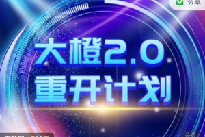高 大橙《重开计划2.0》
