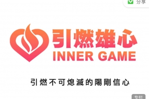 瑞恩《引燃雄心》