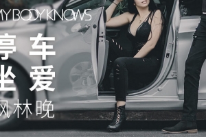 罗南希《停车坐爱-枫林晚》