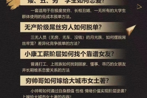 梵公子《中国各阶层脱单指南》