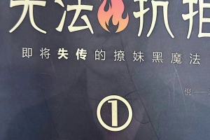 倪新书《无法抗拒》