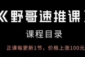 野哥《速推.私教课》